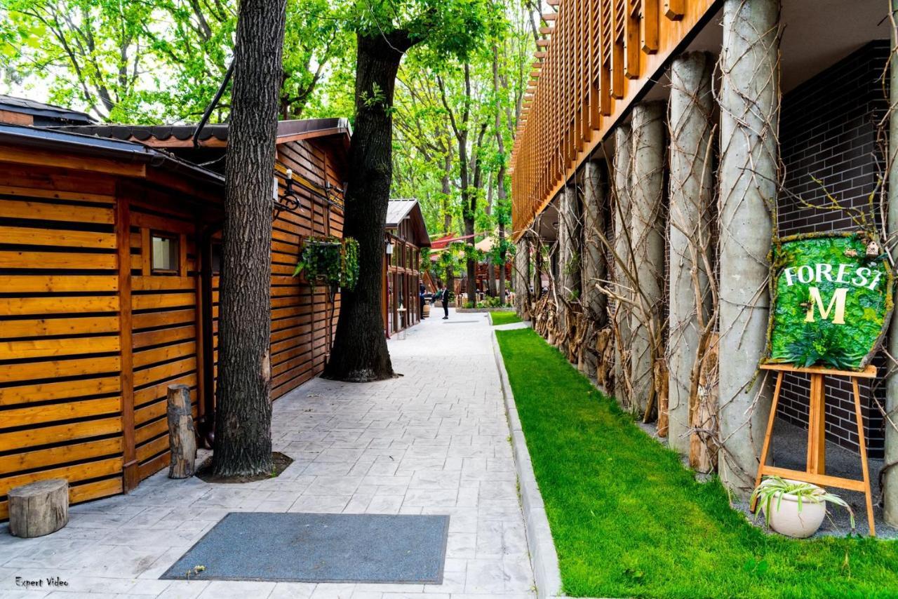 Forest M,Constanta Valu lui Traian 外观 照片